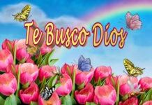 Te Busco Dios