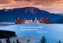 Caminos de Vida