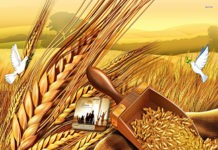 Oasis Celestial Radio